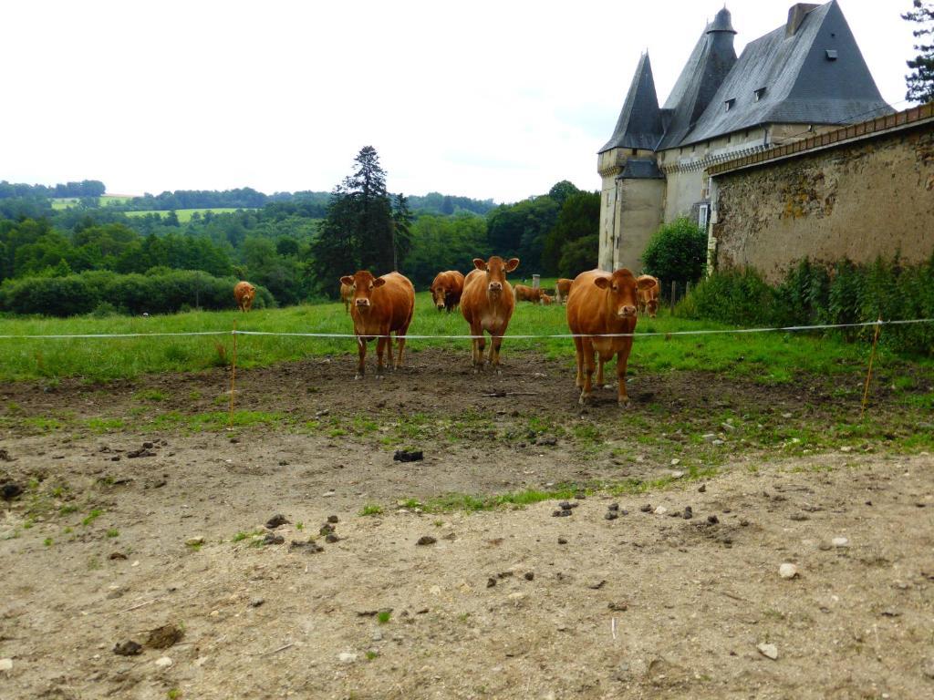 Chateau De Mavaleix Chalais  Zewnętrze zdjęcie